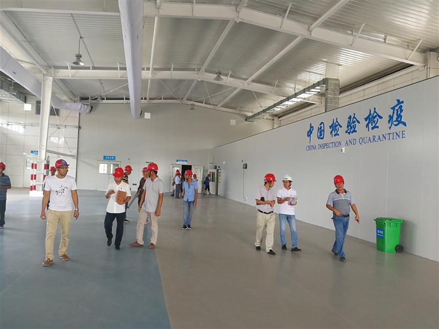 918博天堂(中国)人生就是搏