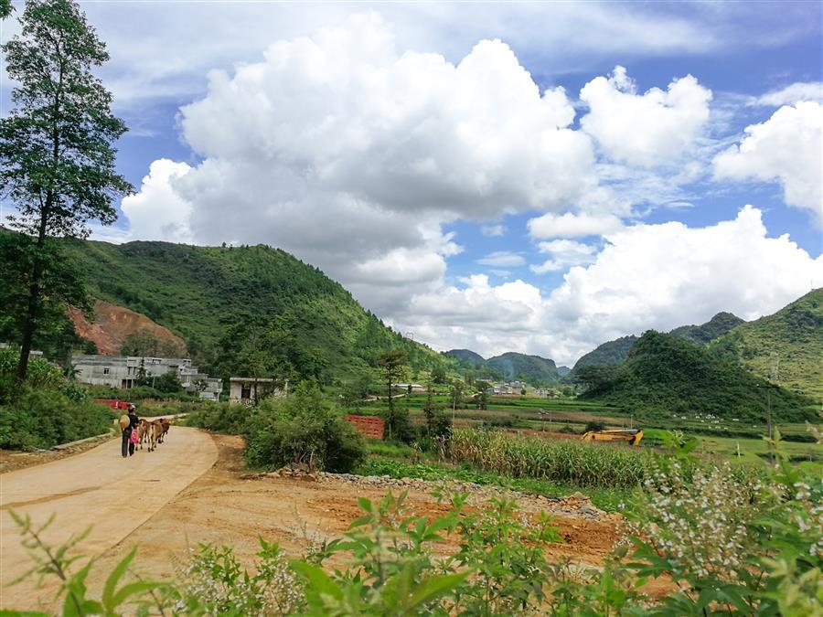 918博天堂(中国)人生就是搏