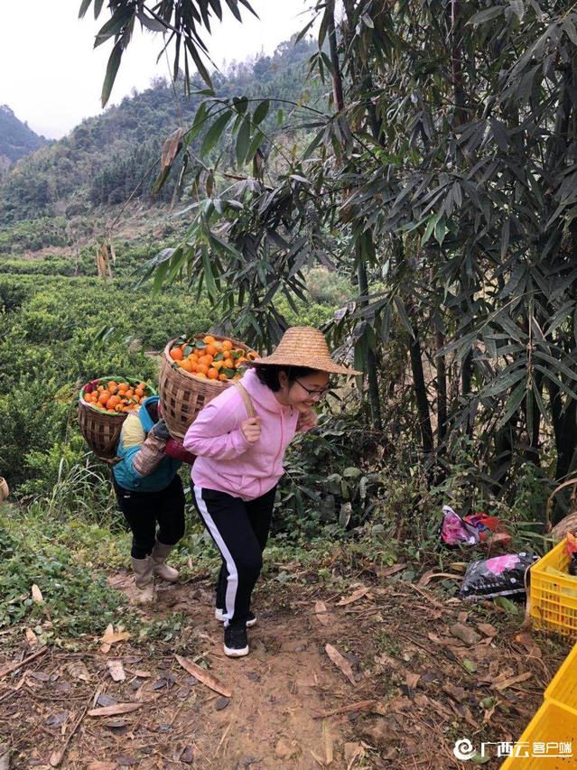 918博天堂(中国)人生就是搏