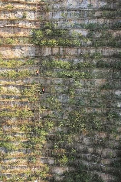 918博天堂(中国)人生就是搏