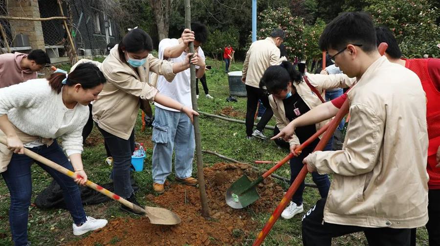 918博天堂(中国)人生就是搏