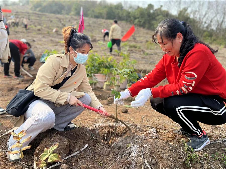 918博天堂(中国)人生就是搏